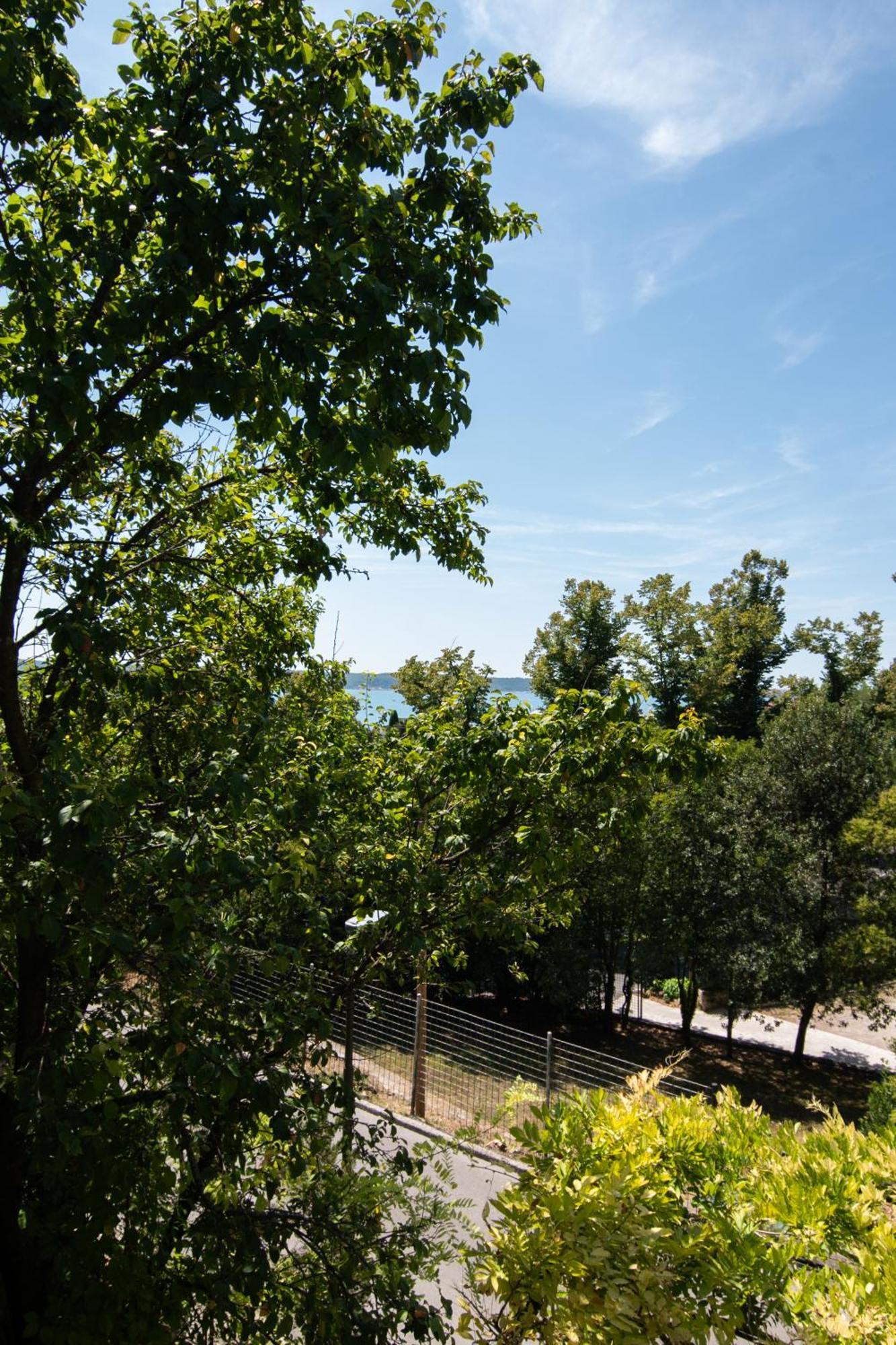 Forgotten Garden Apartments Πορτορόζ Δωμάτιο φωτογραφία